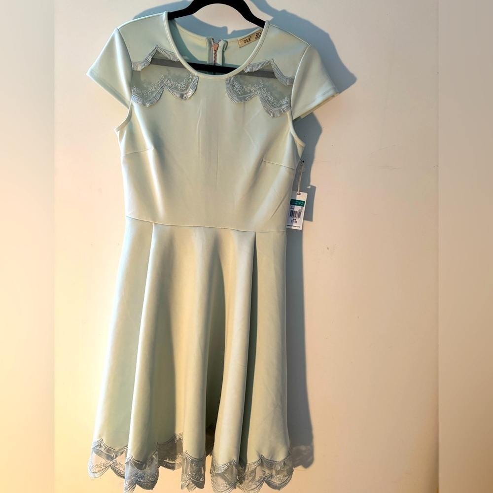 BRAND NEW DEX dress
